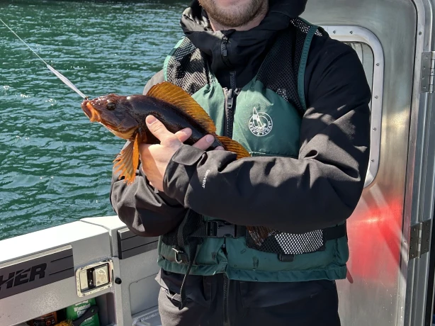 CA British Columbia Vancouver Island Telegraph Cove fish