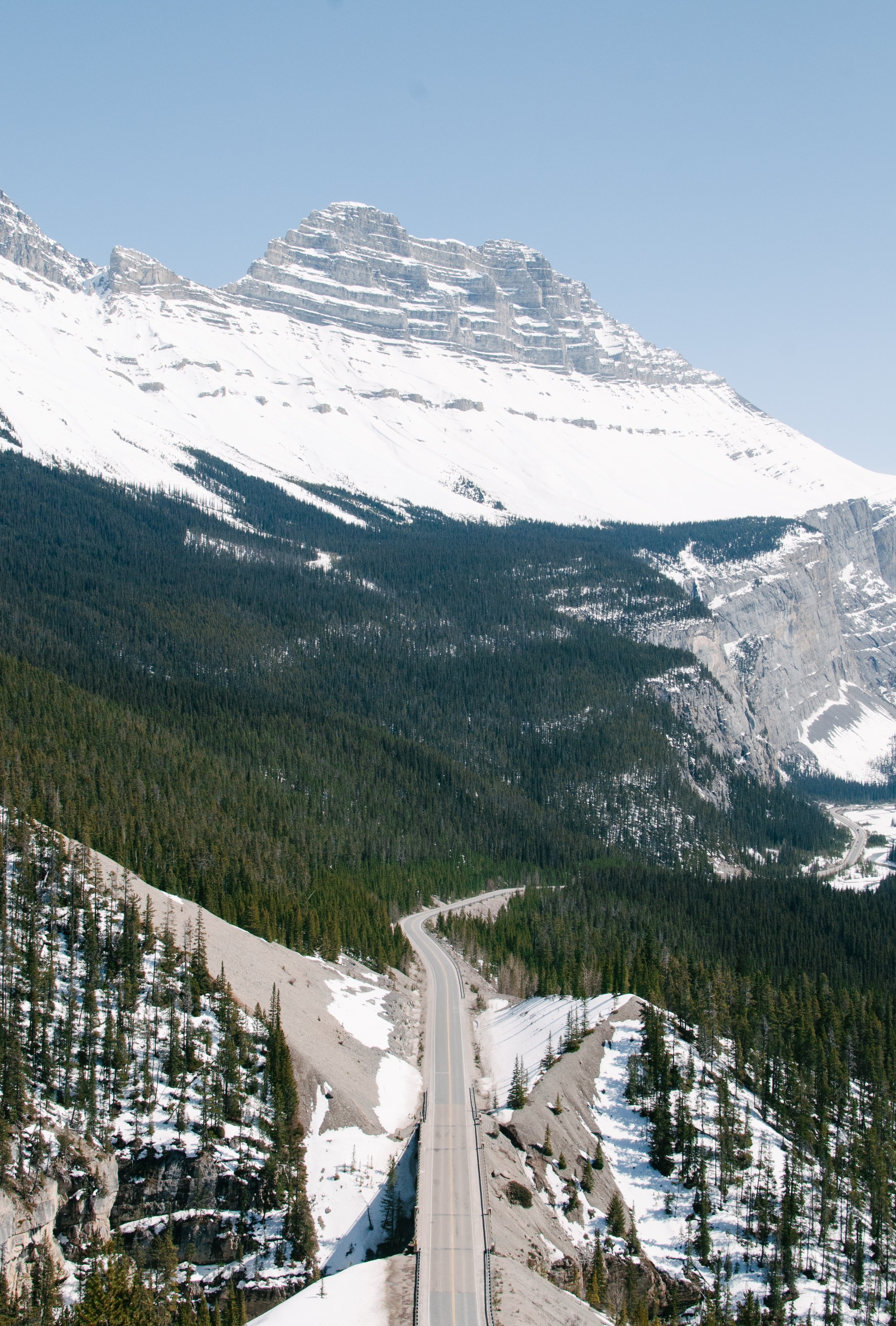 Een kronkelende bergweg in Canada die door dichte bossen leidt naar hoge, besneeuwde bergtoppen onder een heldere hemel.