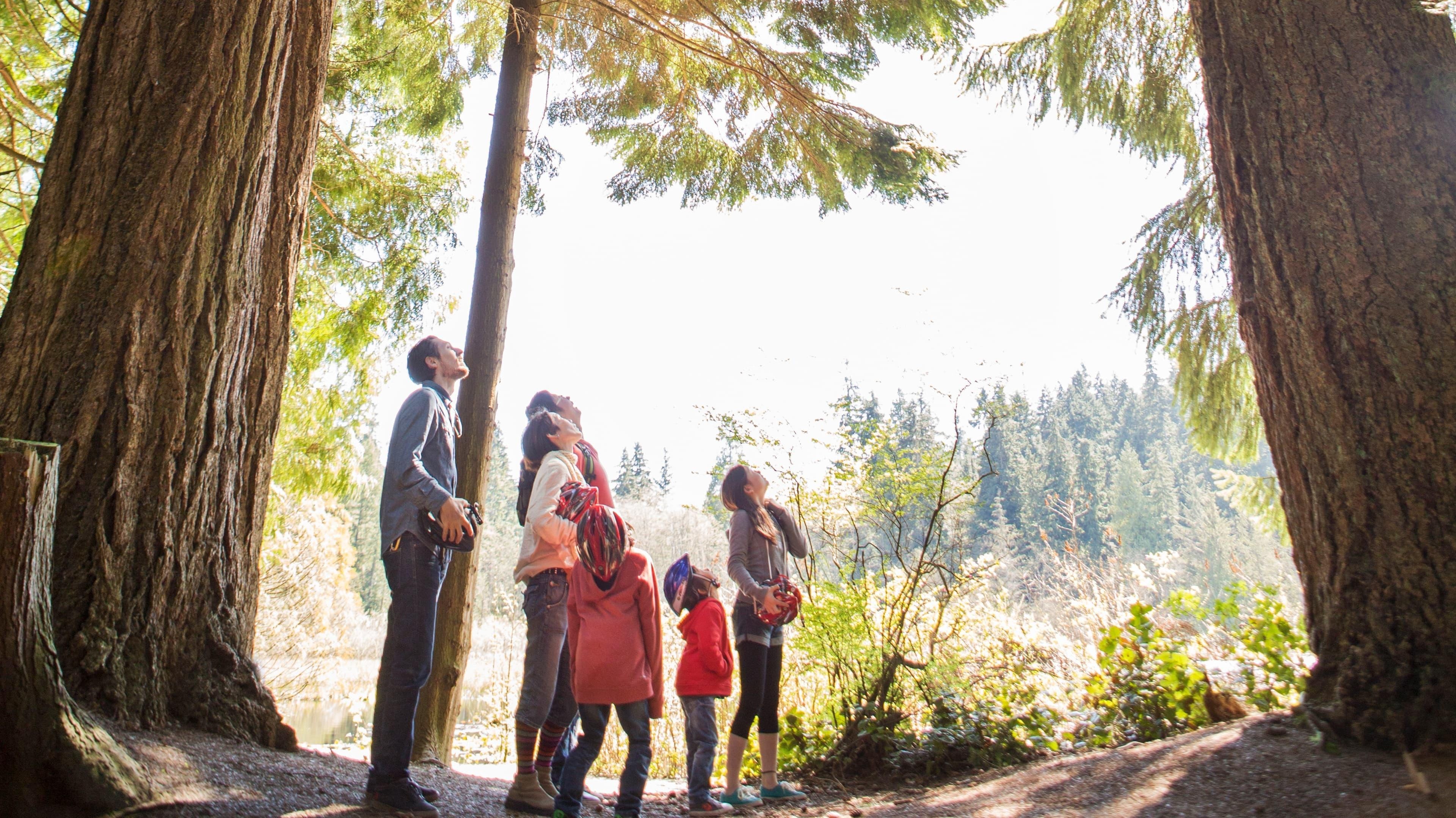 Can family trees vancouver 84930 master