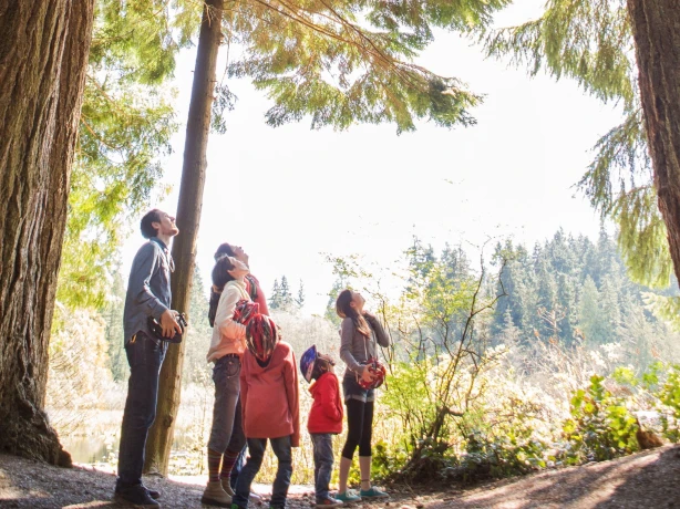 Can family trees vancouver 84930 master