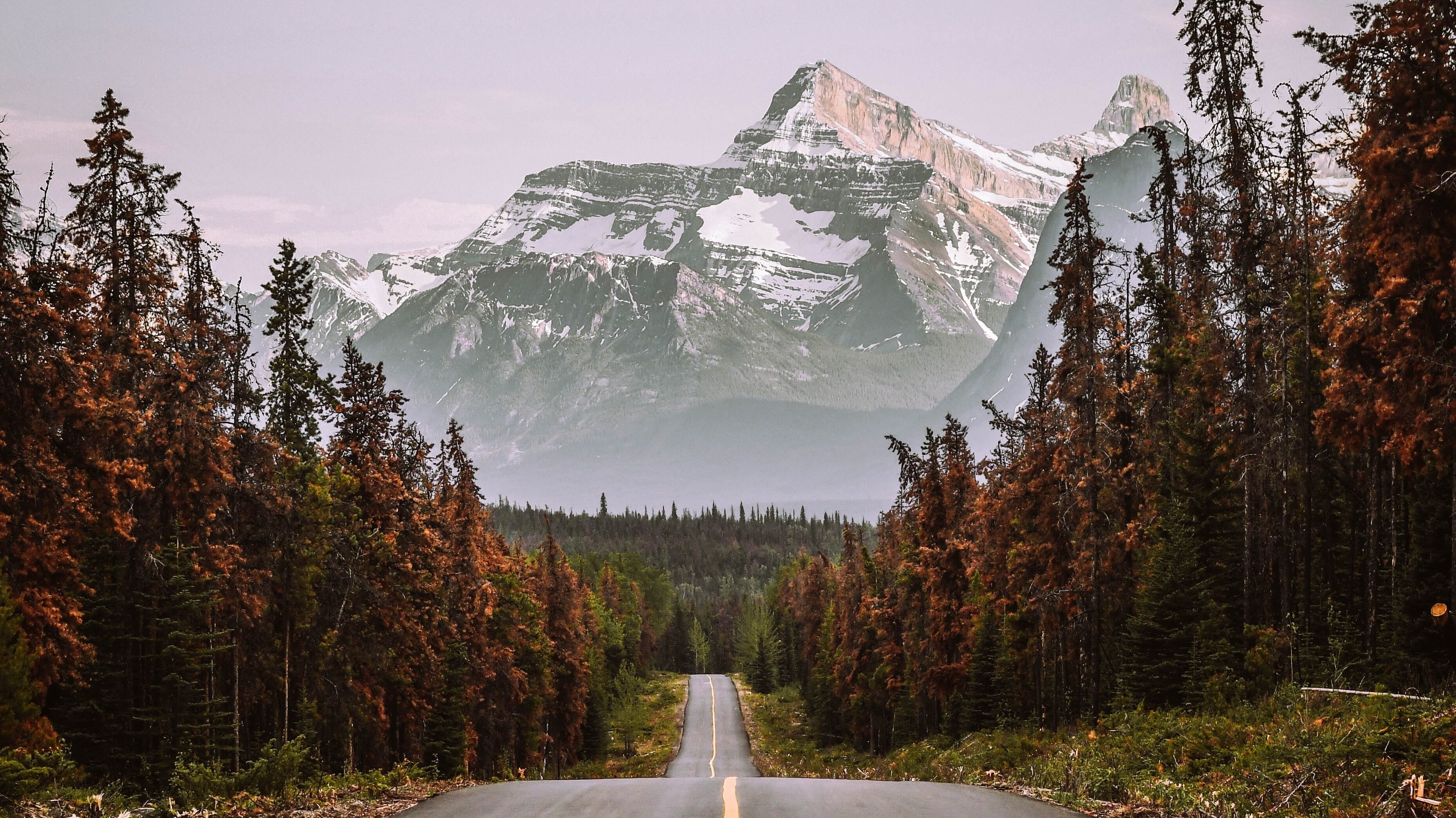 Can road mountain  alberta