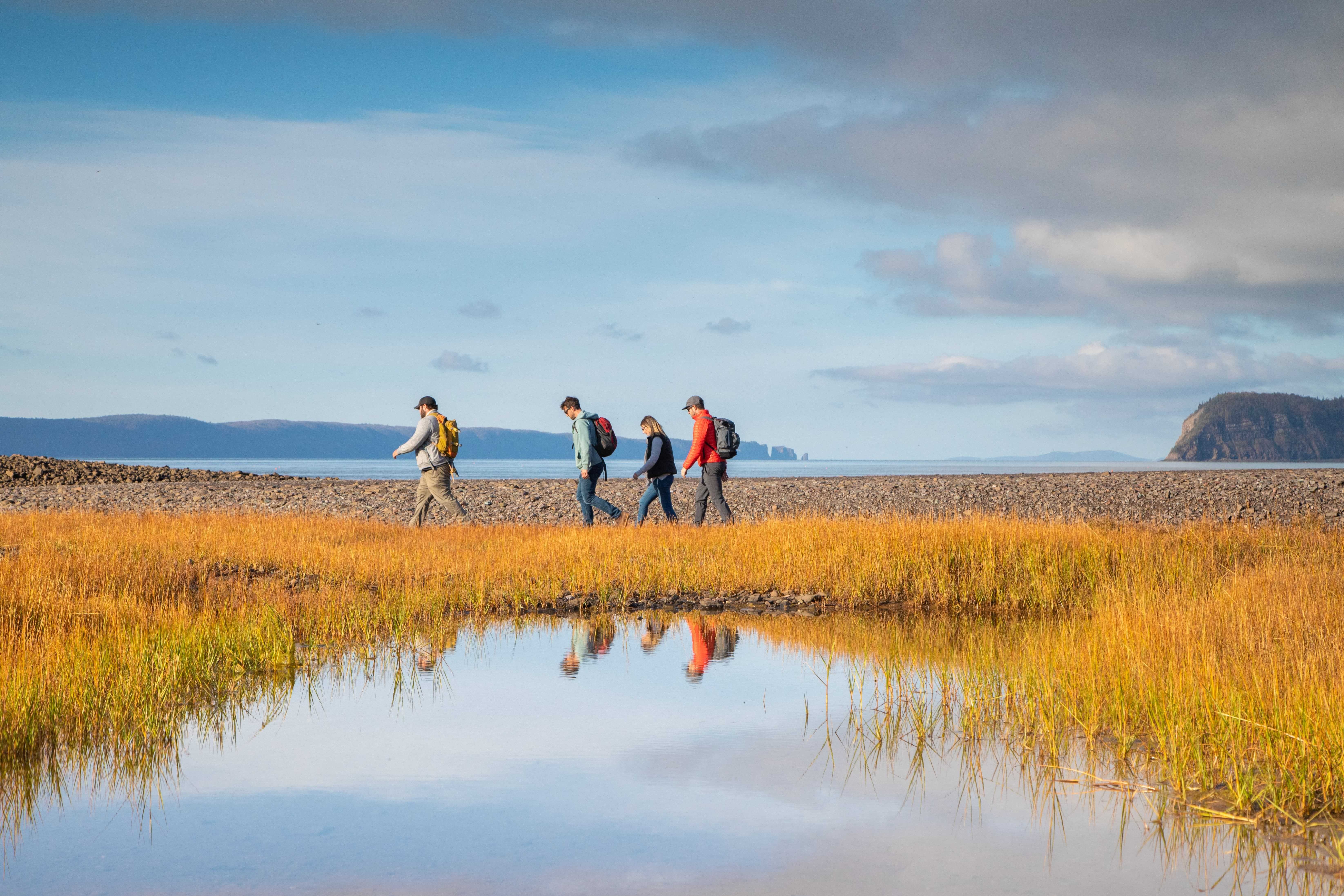 Kanada Bay of Fundy