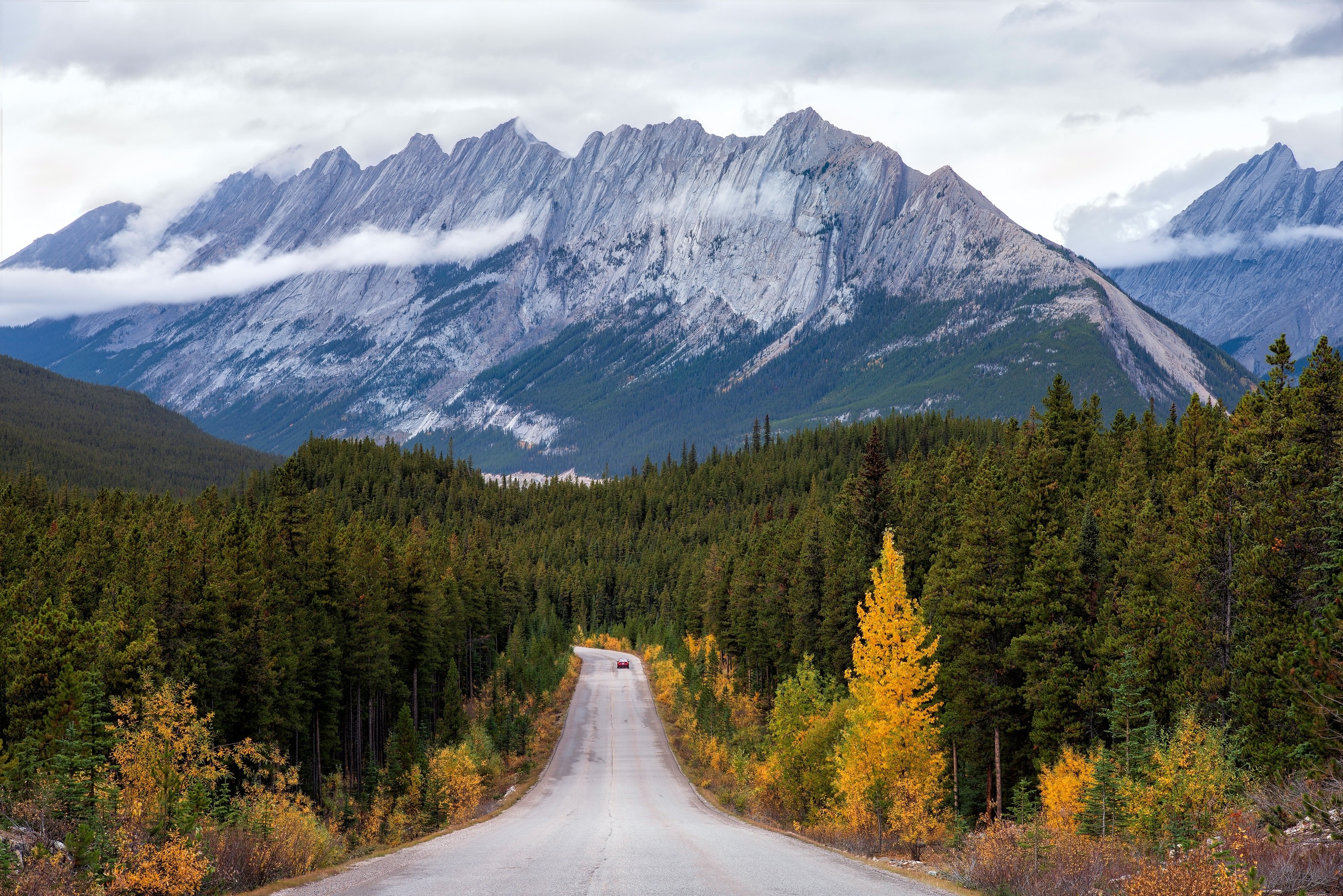 Een kronkelige weg door dicht bos naar ruige bergtoppen in Canada, met vroege herfstkleuren langs de weg.