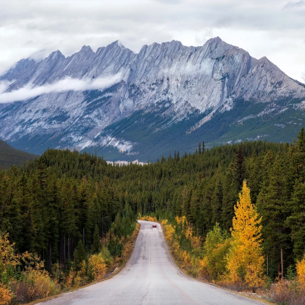 Een kronkelige weg door dicht bos naar ruige bergtoppen in Canada, met vroege herfstkleuren langs de weg.
