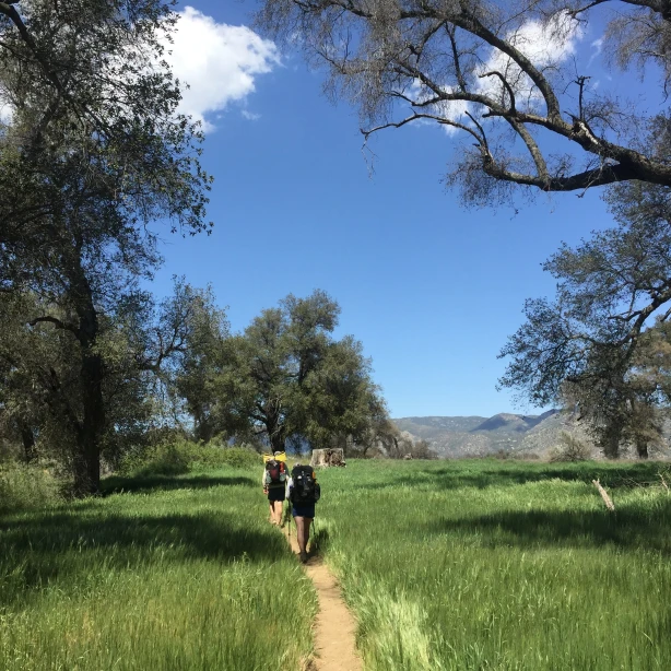 Twee wandelaars die over een met gras omzoomd pad lopen in Canada