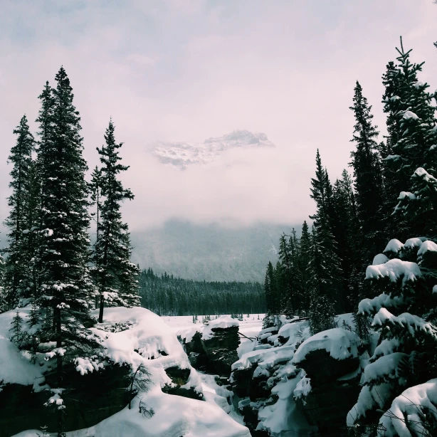 Canada jasper national park Athabasca Falls winter