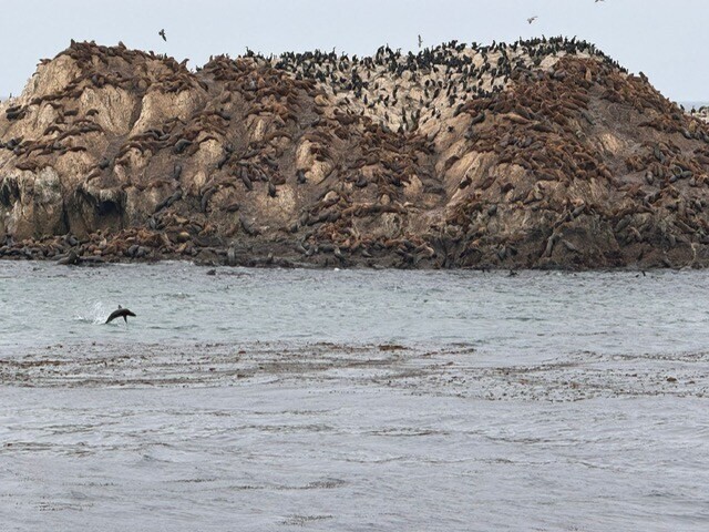 D9959383 d03e 4e44 9a6d 13b4c2e48ab5