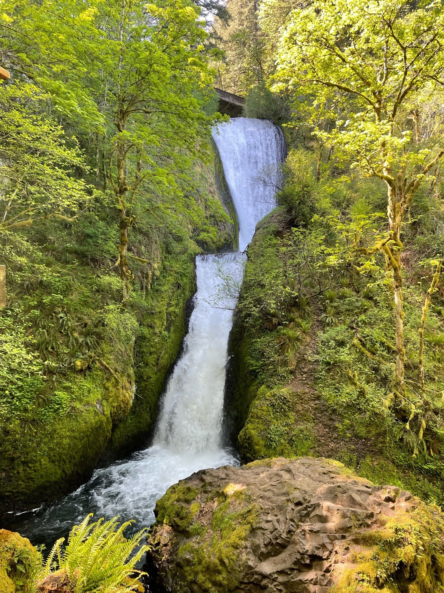 USA Northwest Oregon Columbia River Gorge waterfall