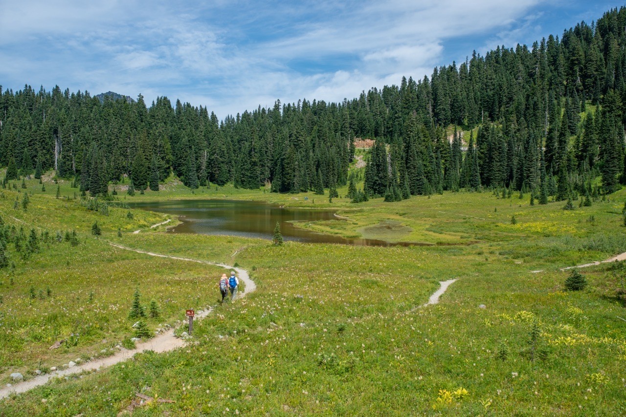 Usa washington state mount rainier national park hiking Large