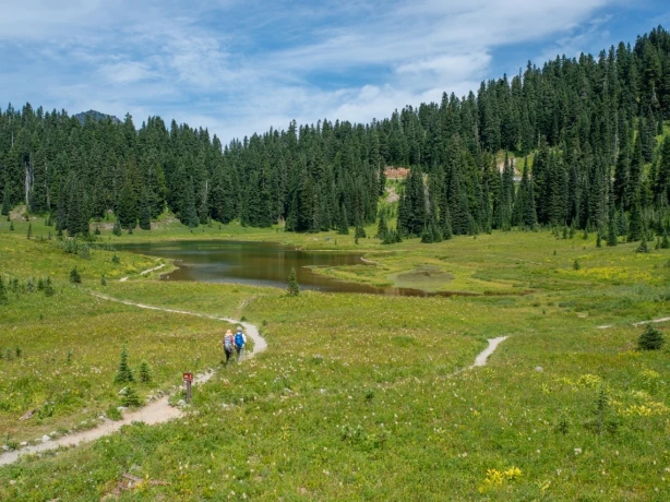 Usa washington state mount rainier national park hiking Large