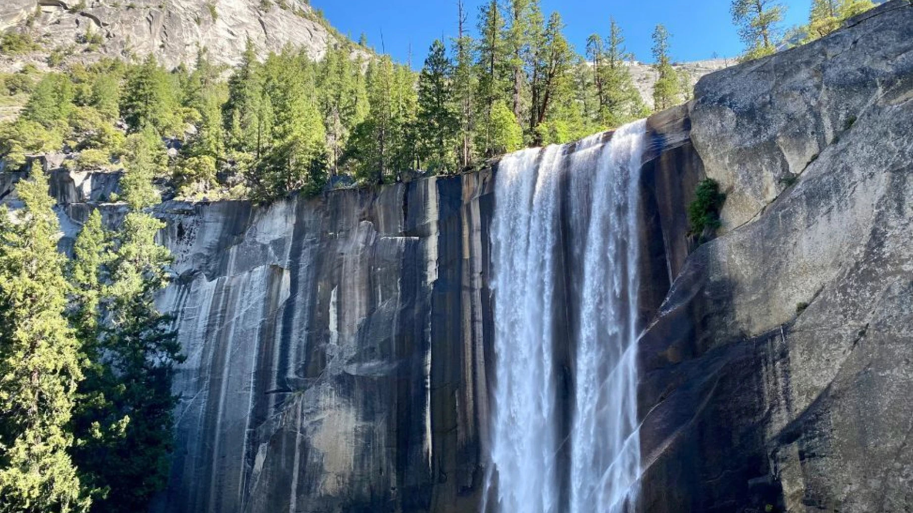 Vernal Fall stort neer over een steile granieten klif in Yosemite National Park, omringd door hoge dennenbomen en helder berglicht.