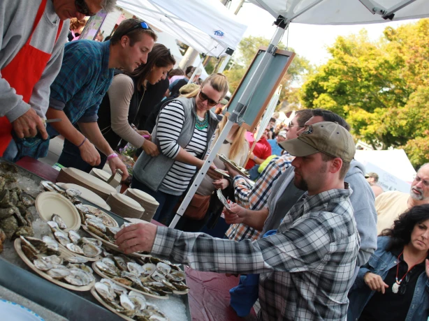 12210100454 3915ea5525 k