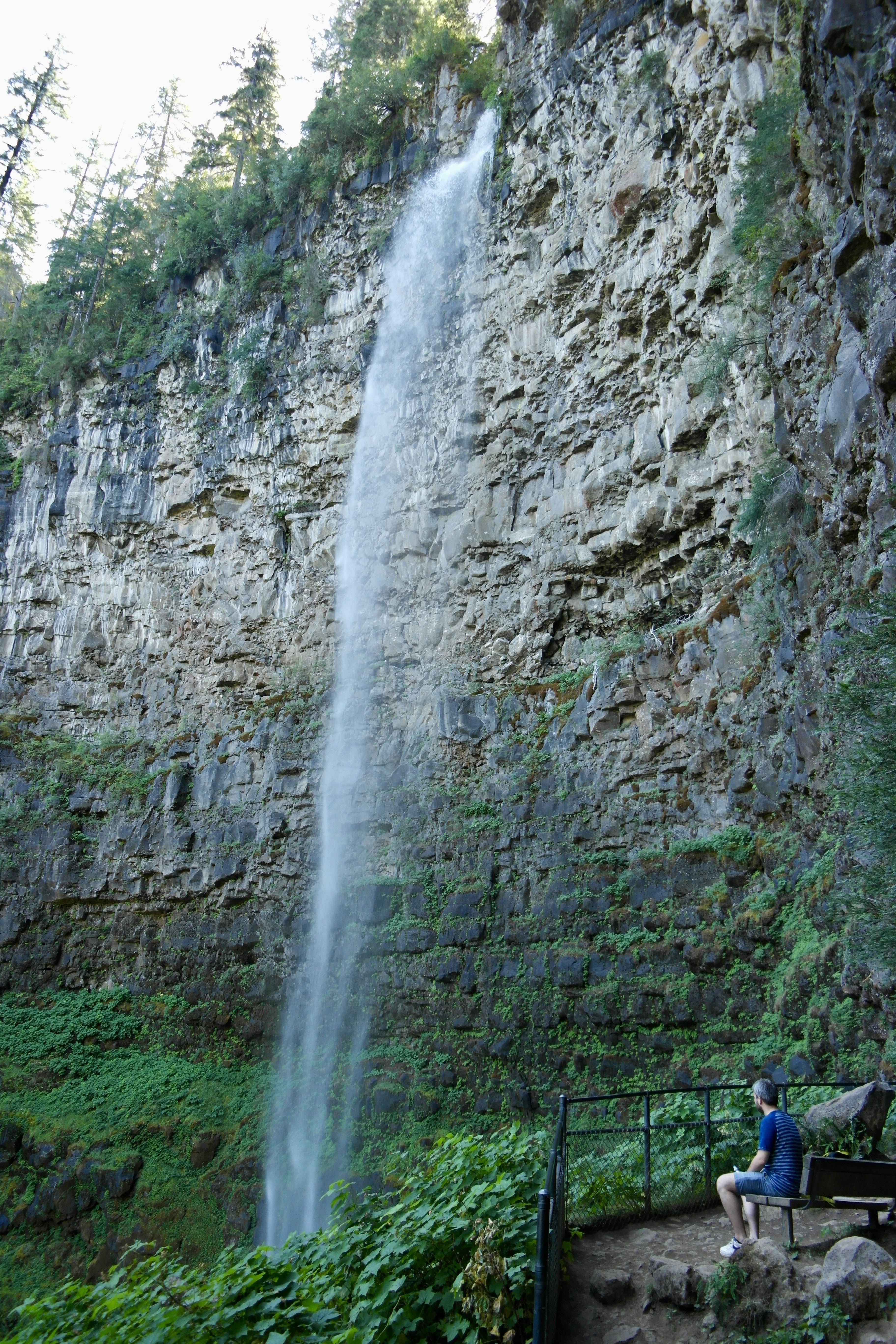 USA Oregon Umpqua National Forest Watson Falls