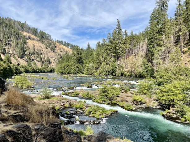 USA Oregon Umpqua National Forest