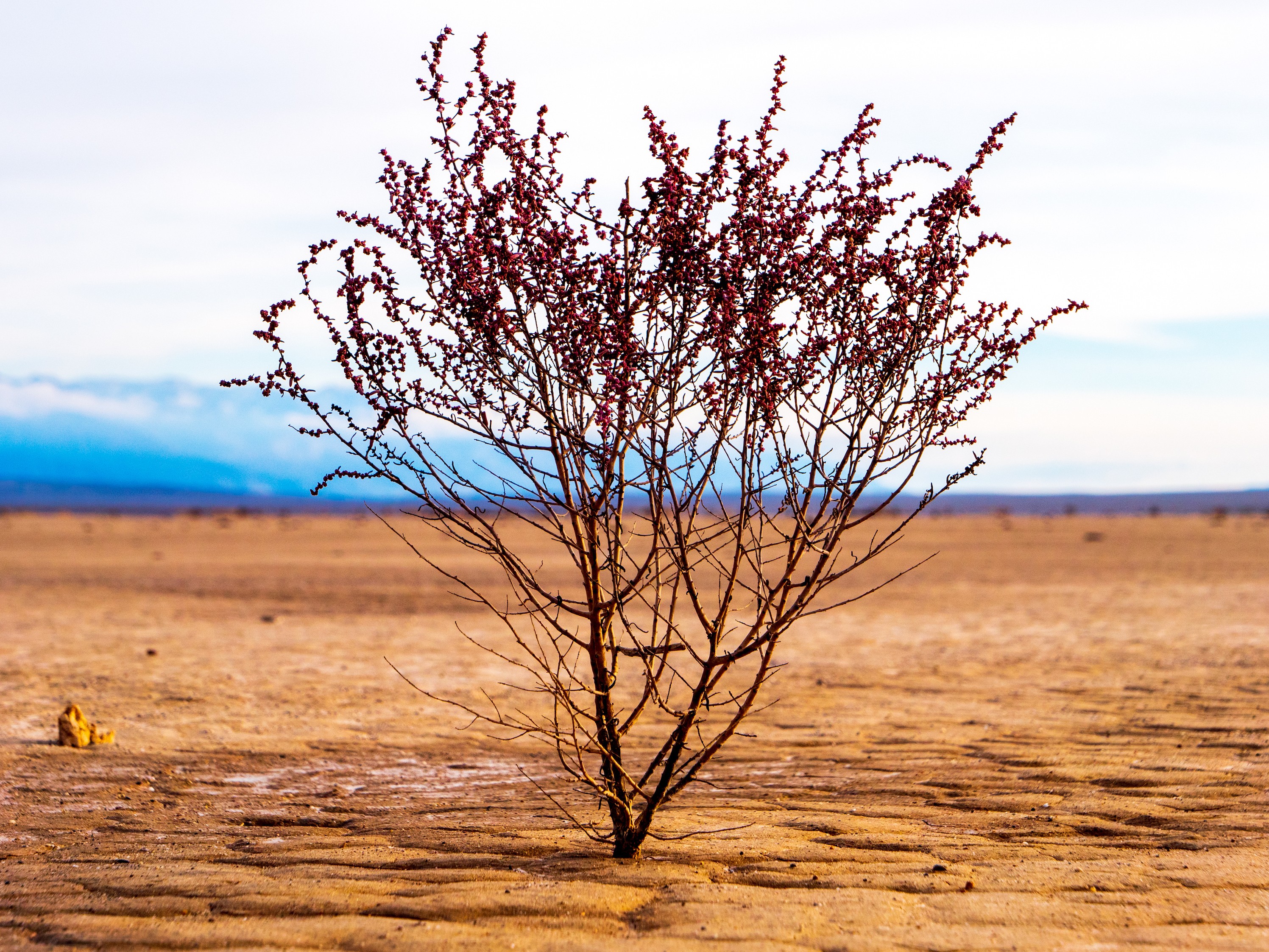 P1088528 Death Valley Scenery