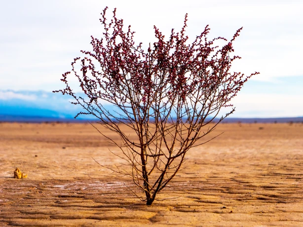 P1088528 Death Valley Scenery