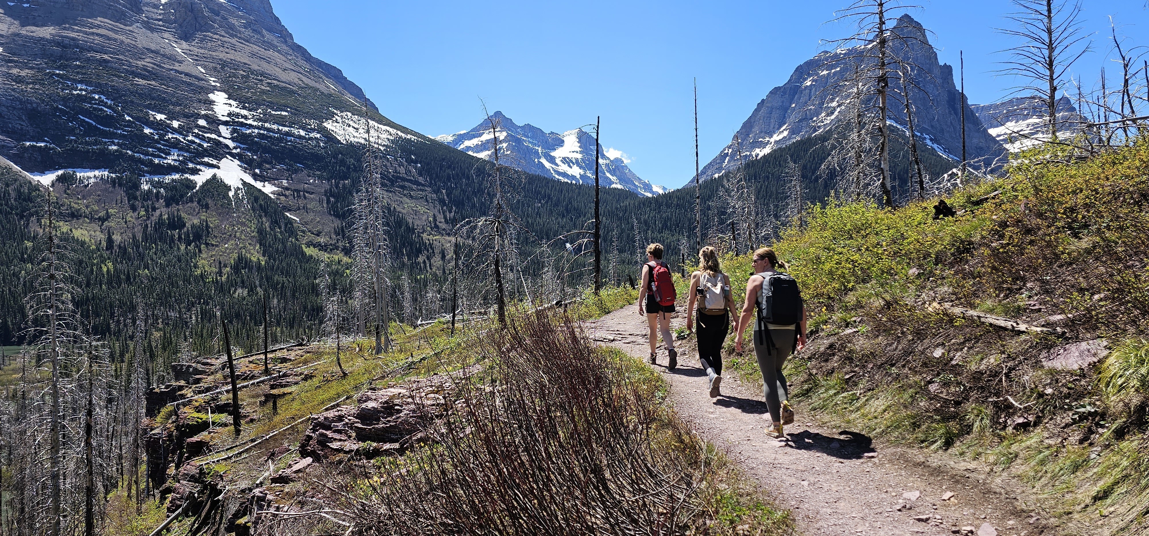 US Montana Glacier National park hiking