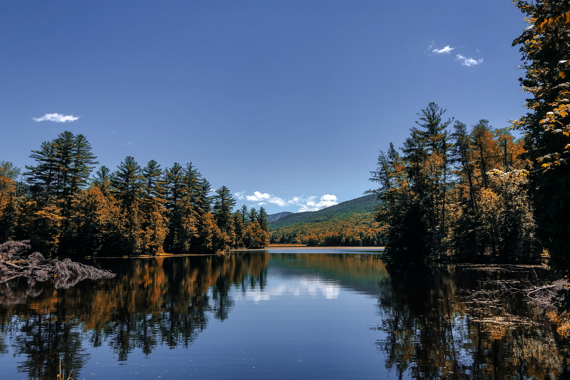 USA New England Vermont Green Mountain National Forest