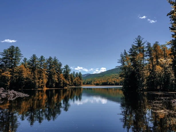 USA New England Vermont Green Mountain National Forest