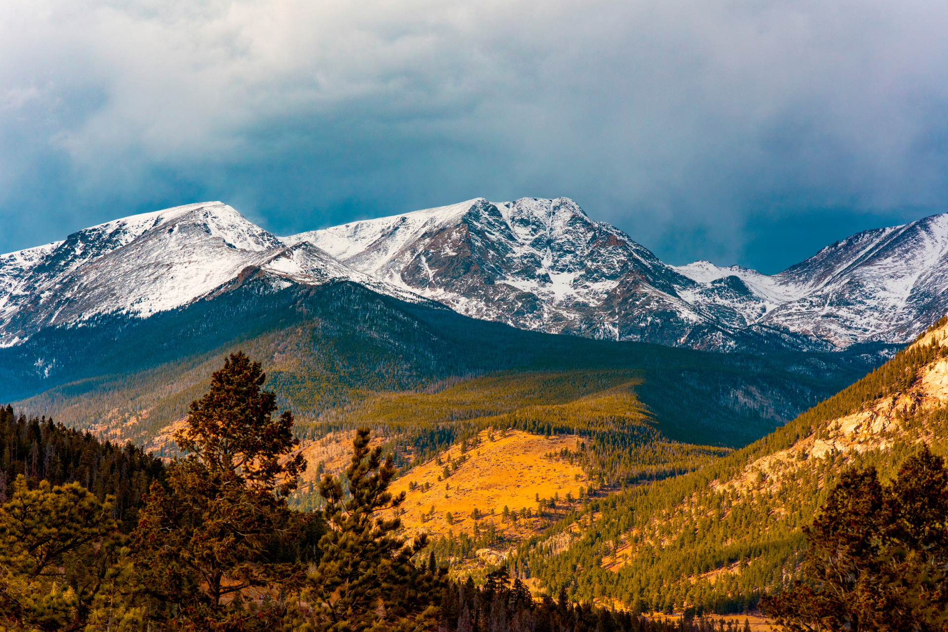 USA Colorado Rocky Mountain National Park fall colors