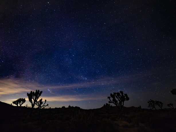 Austin human CEI9k Uu93 H8 unsplash