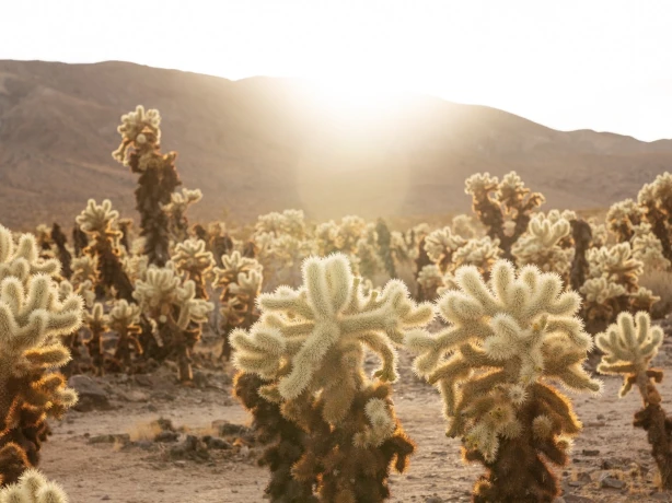 John ko F9 FBOO Kg85 U unsplash