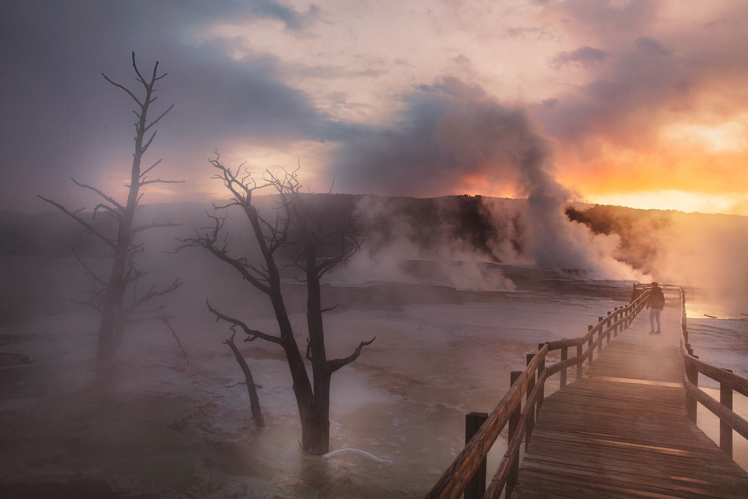 USA yellowstone nationalpark geysir