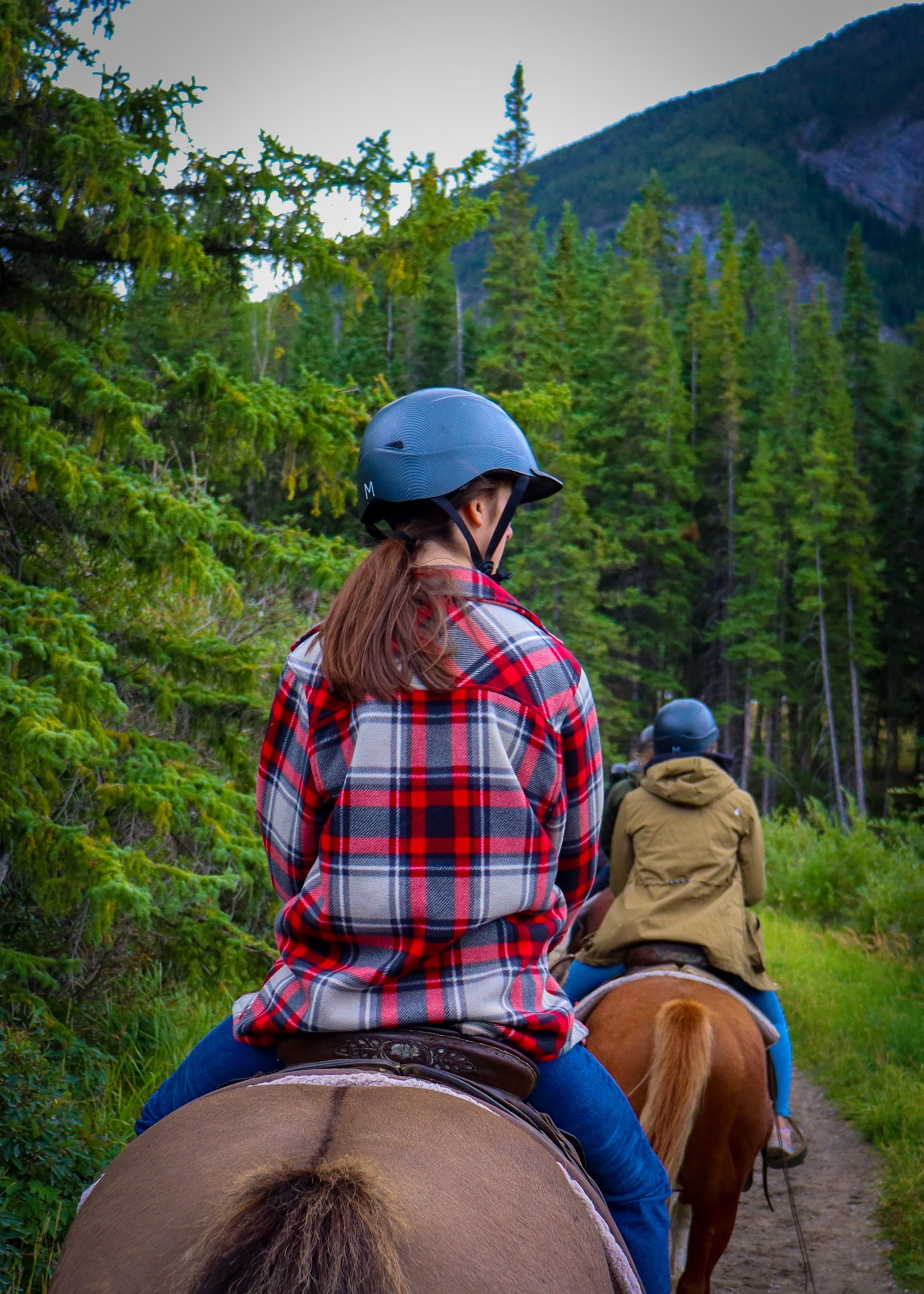 Unitedstates yellowstone horse horseriding