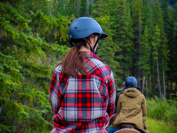 Unitedstates yellowstone horse horseriding