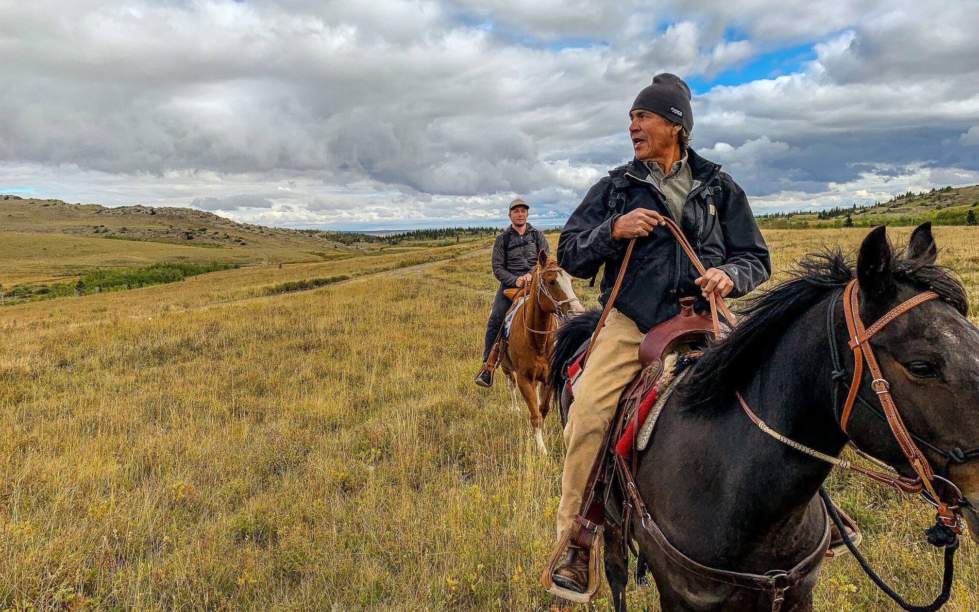 Rsz usa montana badger two medicie horses