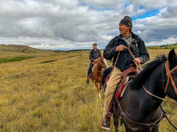 Rsz usa montana badger two medicie horses