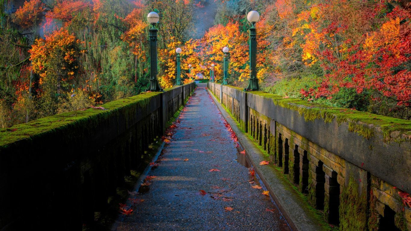 US Washington State Seattle Arboretum Bridge in Fall