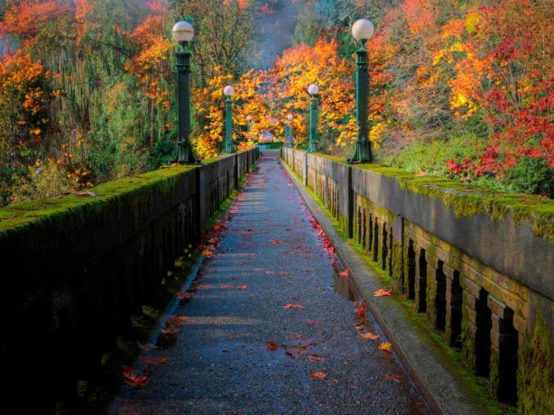 US Washington State Seattle Arboretum Bridge in Fall