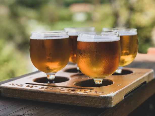 USA North Carolina Asheville beer josh duncan unsplash