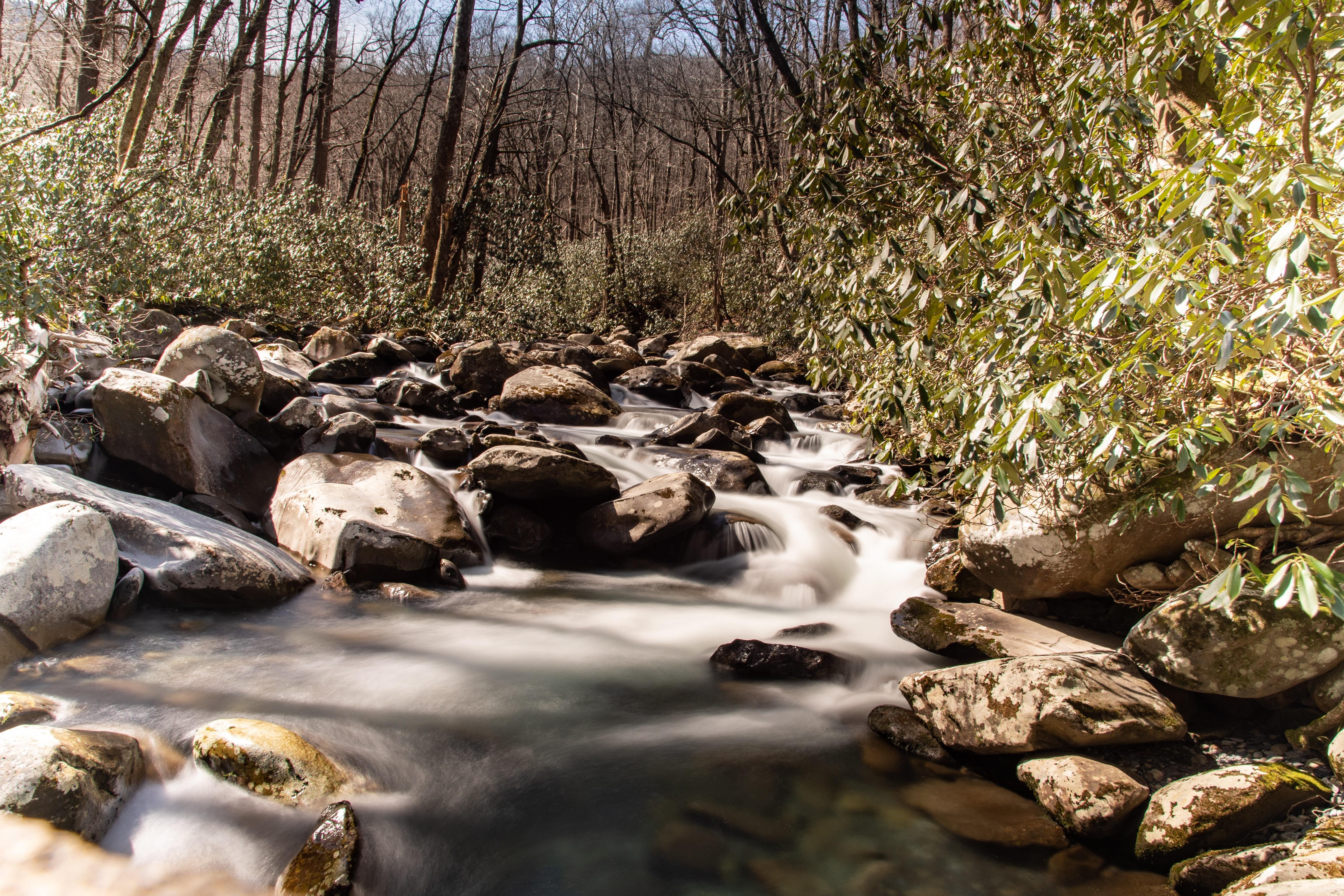 USA North Carolina creek Great smokys joshua bedford unsplash