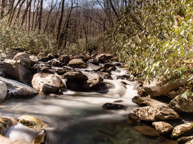 USA North Carolina creek Great smokys joshua bedford unsplash