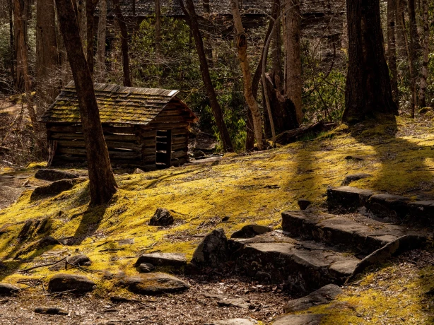 USA North Carolina house porters creek trail joshua bedford unsplash