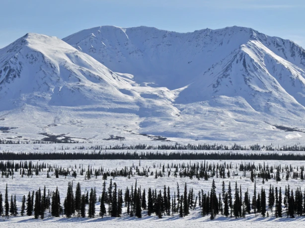 US Alaska Cantwell winter