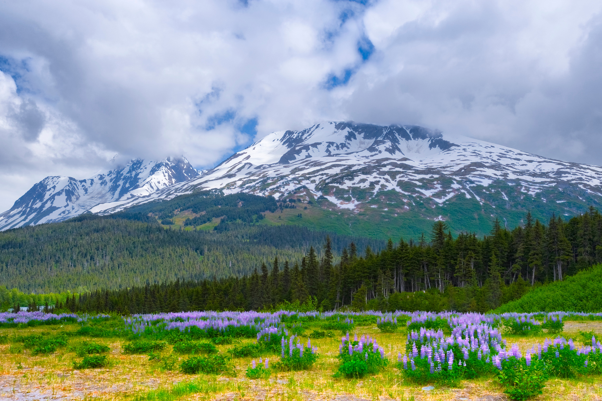 US Alaska Chugach National Forest