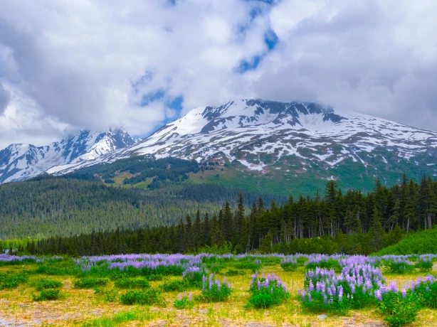 US Alaska Chugach National Forest