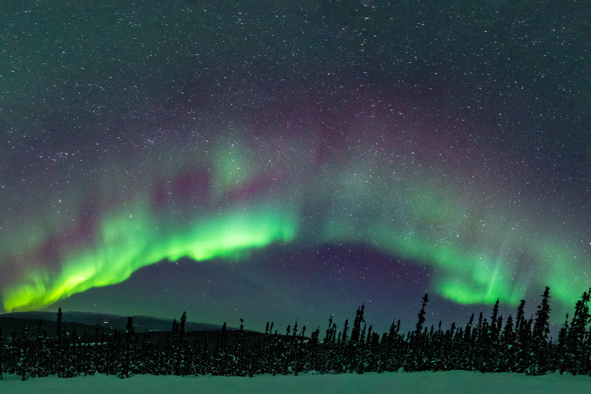 US Alaska Fairbanks northern lights