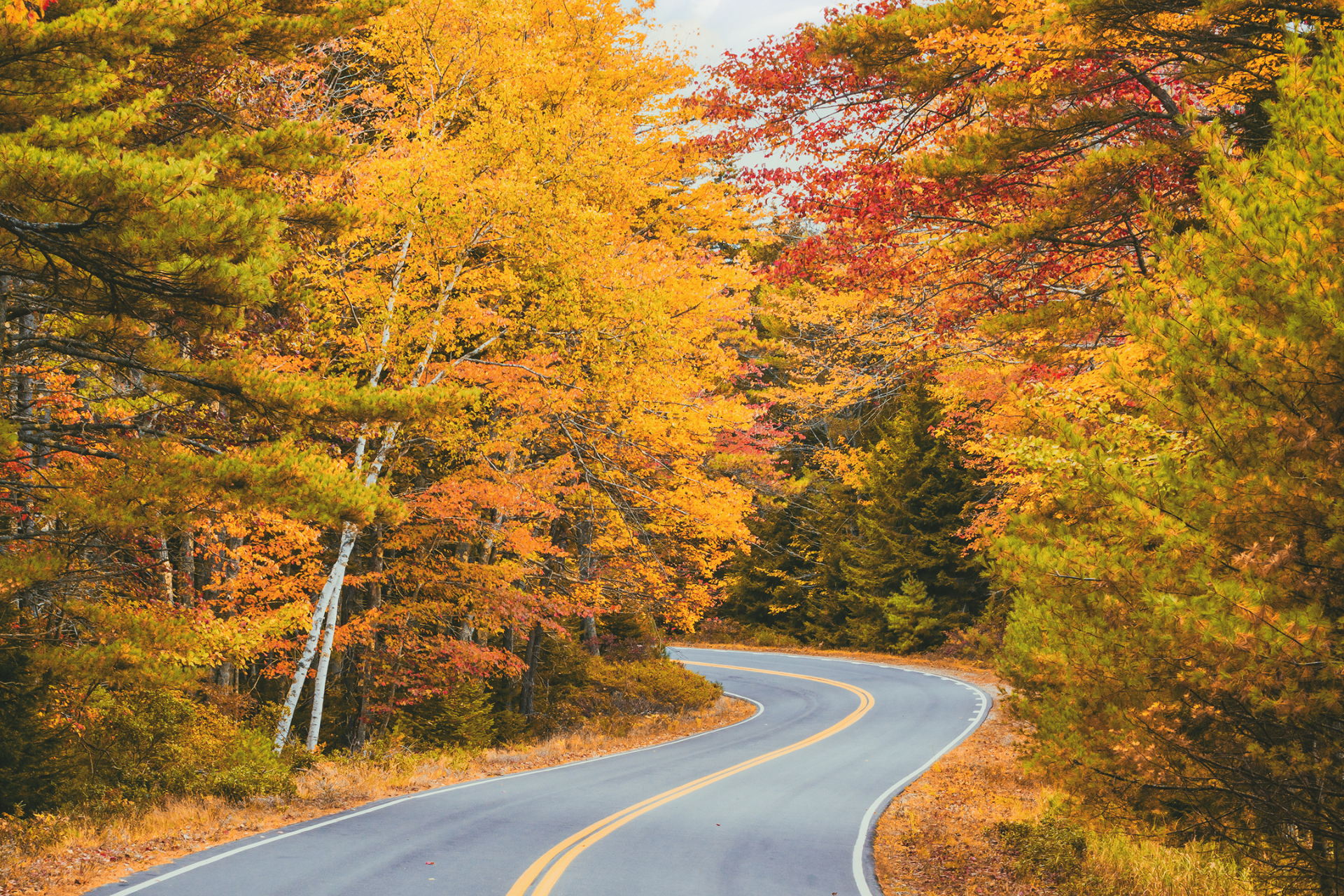 USA New England fall foliage road