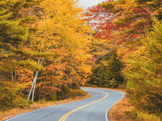 USA New England fall foliage road