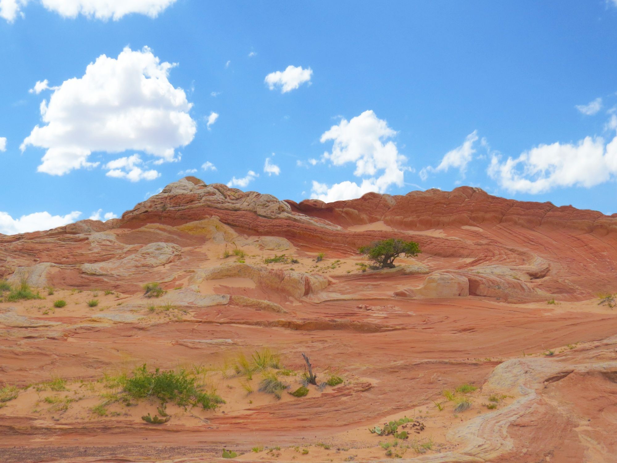 USA Utah Kane County Dünen
