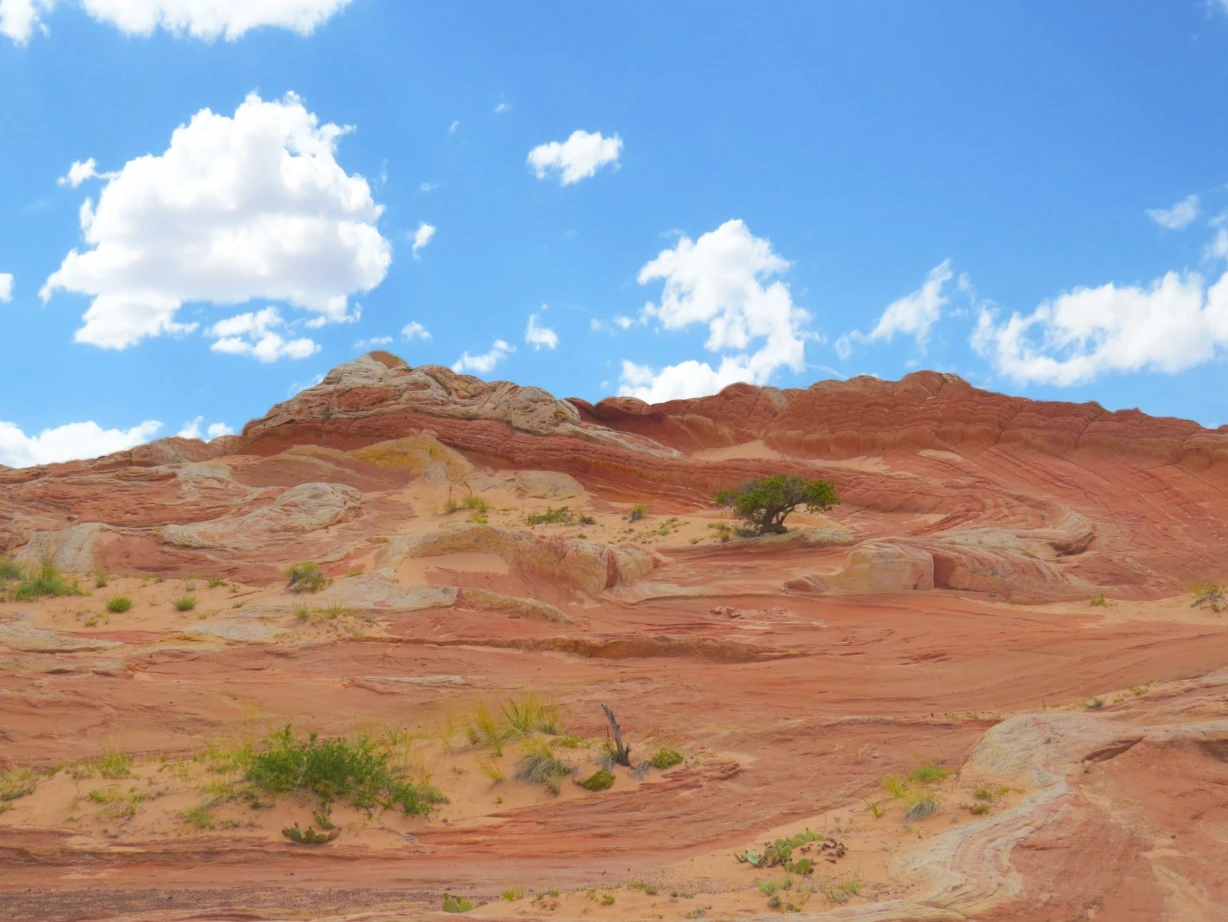 USA Utah Kane County Dünen