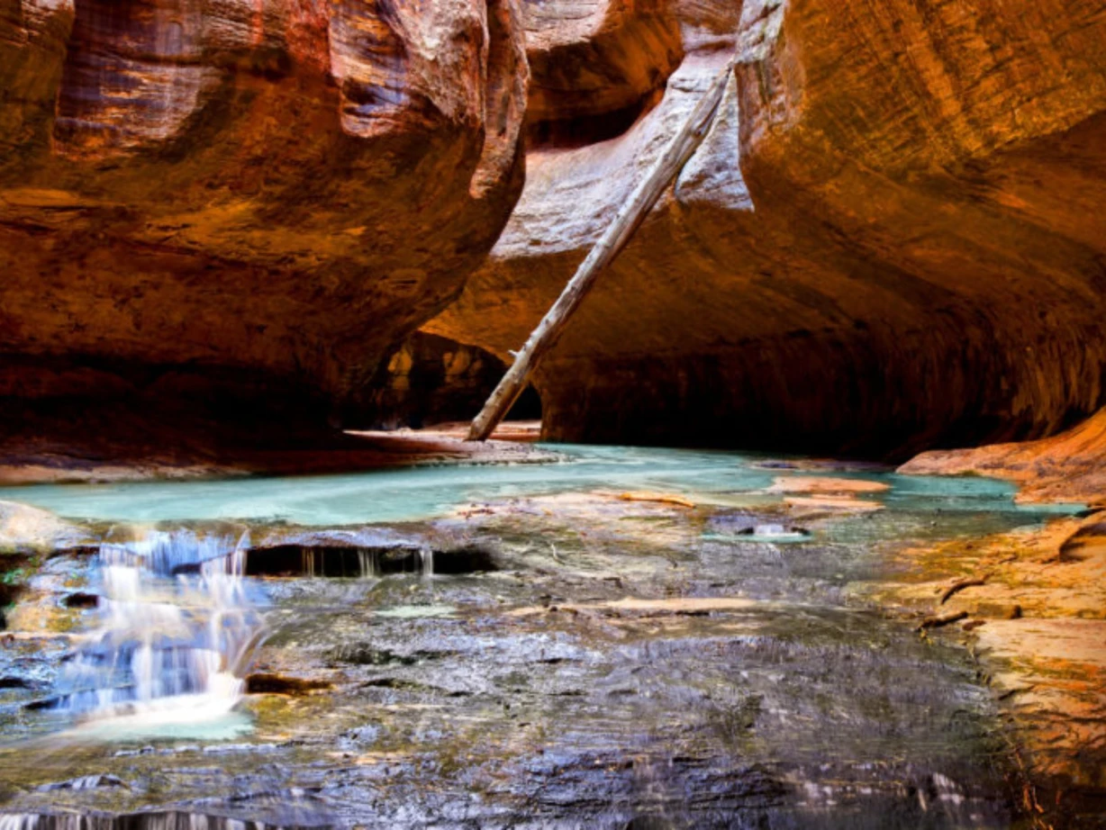 USA Utah Washington County Zion Subway