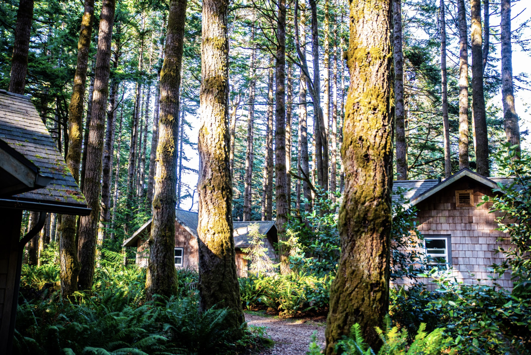 US Accommodation Comfortable Partner DSC 5919 Wildspring Guest Habitat South Oregon Coast Screenshot 2020 06 22 at 13 22 41