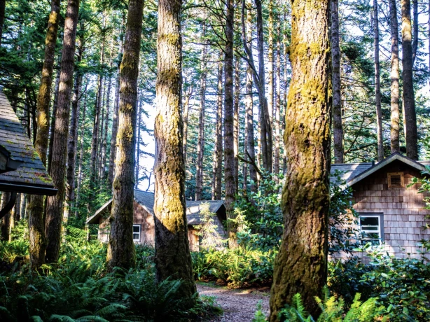 US Accommodation Comfortable Partner DSC 5919 Wildspring Guest Habitat South Oregon Coast Screenshot 2020 06 22 at 13 22 41