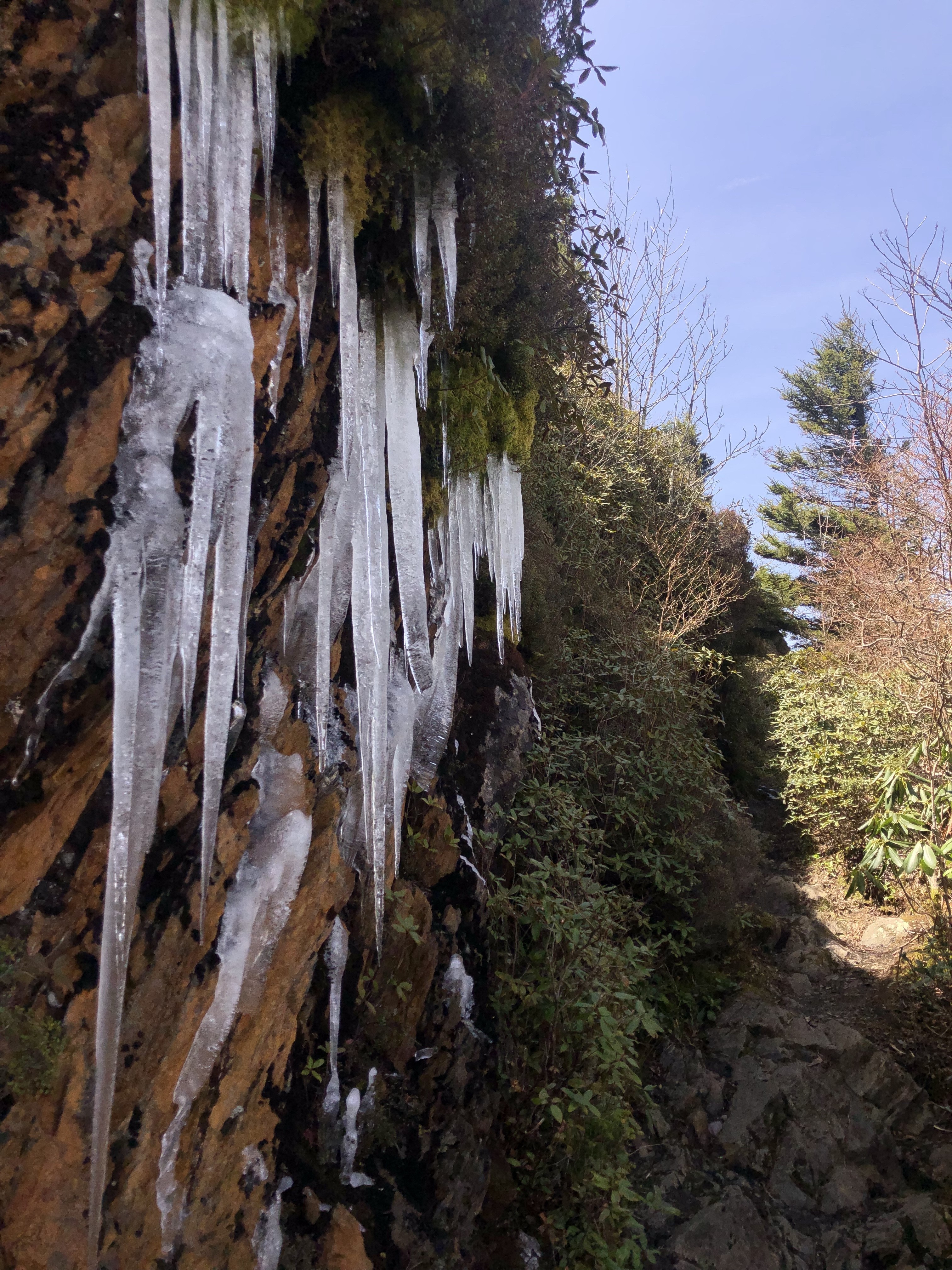 US North Carolina Great Smoky Mountains ice on ridge