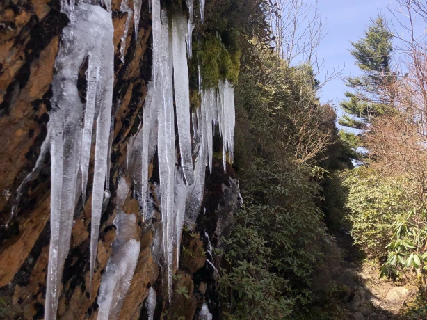 US North Carolina Great Smoky Mountains ice on ridge